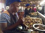 Mim workers shelling cashews Mim workers shelling cashews